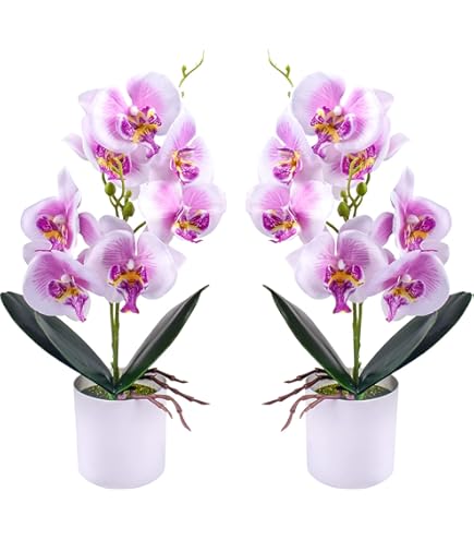 Seidenblumen Künstliche Orchidee Im Topf – 38 Cm Hoch, 26 Blüten, Kunststoff, Sofortige Deko, Farbe Weiß