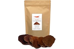 GARNELEN4YOU® Seemandelbaumblätter | Catappa | Premium Langzeitfuttermittel & Wasseraufbereitung | klimaneutrale Verpackung | Garnelen, Krebse, Schnecken (15-20 cm, 20, stück)