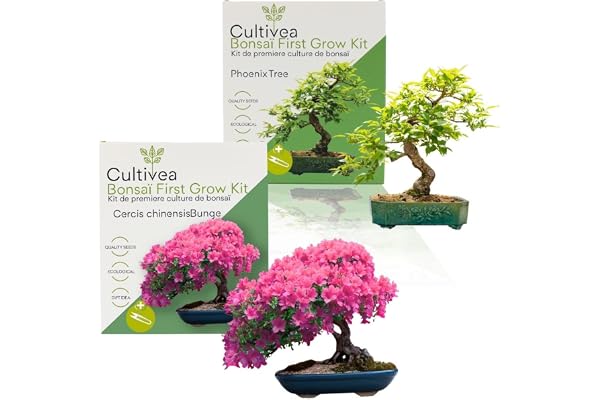 Cultivea® – Lot 2 Kits First Bonsai : Cercis Chinensis & Phoenix Tree – Kits de Première Culture Prêt à Pousser avec Graines et Accessoires – Idée Cadeau Jardinage Originale | Made in France