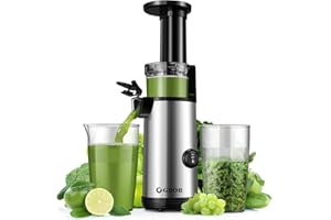 GDOR Kompakter Entsafter Leistungsstarker Entsafter Slow Juicer leicht zu Reinigender Juicer Machine Geräuscharmer Entsafter für Obst und Gemüse, 600 ml, Hohe Saftausbeute, Inklusive Bürste, BPA-frei