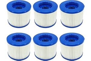 Aoyern Filtre Spa a Visser, Cartouche Filtrante pour Spa Gonflable, pour Cosy Spa,Clever Spa,lumix Rechange Filtre pour Spa.(6)