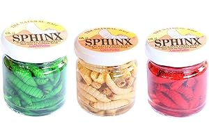 PESCASUBITO Kit 3 Barattoli Camole Colorate Vere Mummificate Esca Pesca Trota Mummie Camola