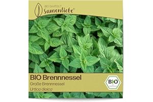 Samenliebe BIO Brennnessel Samen alte Sorte Große Brennnessel Wildkraut Gartenkraut 2500 Samen samenfestes Kräuter Saatgut für Küche indoor und Balkon Garten BIO Kräutersamen mehrjährig und winterhart