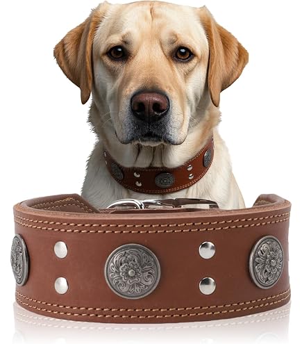 Haoyueer Leder-Hundehalsband 5,1 Cm Breit – 3-reihig Mit Nieten, Größe XL, Pink Leopardenmuster – Für Große Hunde