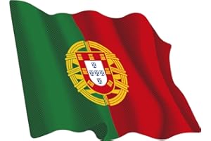 Artimagen - Adesivo Bandiera svolazzante del Portogallo 80 x 60 mm