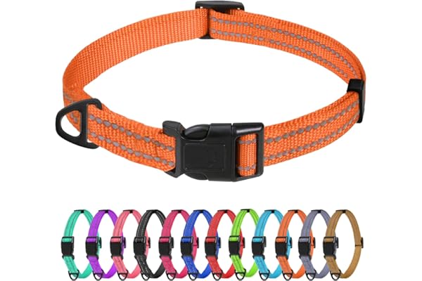 TagME Collar Perro Ajustable,Collar Nylon Reflectante,para Caminar Correr Entrenamiento,para Perros Extrapequeños,Naranja,1.5cm De Ancho