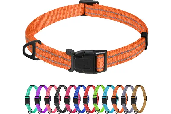 TagME Collar Perro Ajustable,Collar Nylon Reflectante,para Caminar Correr Entrenamiento,para Perros Extrapequeños,Naranja,1.5cm De Ancho