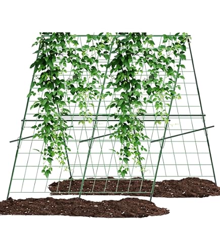 Gurkenspalier Bogen-Form Für Hochbeet – 2 Stück, 121,9x121,9 Cm, Metall Mit Kunststoffbeschichtung, Rankhilfe Für Gurken, Tomaten, Zucchini