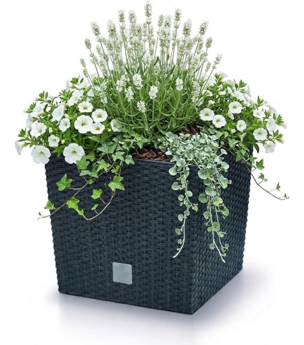 blumenkasten grau stein Beton Blumenkasten grau, länglich main image 0
