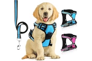 SIBOTER Pettorina Cane, Pettorina Cane Taglia Media Regolabile, Traspirante Pettorina Cane Taglia Grande con Guinzaglio, Pettorina Antifuga Cane per la Corsa, Passeggiate, Jogging (L, Blu)