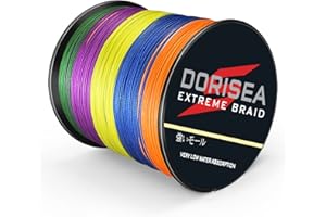 DORISEA Extreme Braid geflochtene Angelschnur, 100% PE, 300 m, 2,7–250 kg getestet, Abriebfest, unglaubliche Superline, kein Dehnen, Kleiner Durchmesser