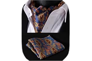 HISDERN Herren Krawattenschal Floral Paisley Ascot Krawatte Hochzeit Business Halstuch und Einstecktuch Set