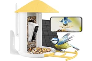Netvue by Birdfy Comedero Pájaros con Cámara, Observación de Aves Cámara con Batería & Panel Solar, Captura Automática & Grabación de Video de Pájaros, Notificación de Aves, Comedero Pajaros Exterior
