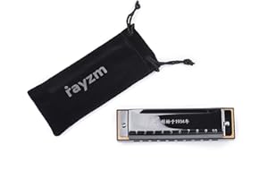 Rayzm Harmonica Harmonijka ustna, 10 otworów, 20 tonów, klawisz C, Blues Harp, dla dorosłych i dzieci, responsywna harmonijka z brązu fosforowego, grzebień z żywicy