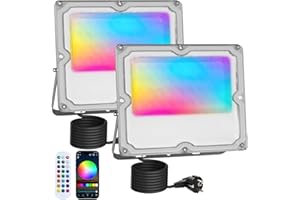 MEEKBOS 2 Pezzi Faretto LED RGB Esterno 30W, Faro LED RGB Con APP Bluetooth e 2.4G Telecomando,IP66 Impermeabile Dimmerabile Proiettore per Giardino,Pasqua,Partito,Halloween,3000LM