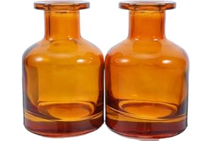 Artibetter Bouteilles de diffuseur en Verre : 2 pièces Récipients de diffuseur vides Rechargeables Verres d'aromathérapie Récipients d'aromathérapie pour Remplacement Parfum DIY 150 ML / 5 oz