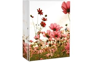 ‎BANJADO banjado® XXL Medizinschrank abschliessbar mit Motiv Schmuckkörbchen 35x46x15cm - großer Arzneischrank/Medikamentenschrank aus Metall zur Medikamenten Aufbewahrung - Apothekerschrank mit 3 Schlüsseln