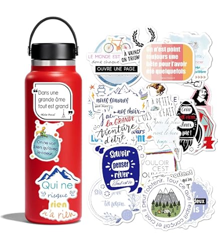 50 Autocollants Motivants En Français - Citations Inspirantes Vinyle Imperméable, Pour Gourde, Ordi, Valise... - 6