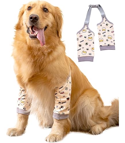 Honden Elleboogbeschermer, Hondenbeen Mouw Hond Herstel Voorpoten Mouw Ademende Hond Elleboog Brace Huisdier Poot Wonden Beschermer Honden Herstelpak voor Kleine Middelgrote Grote (L