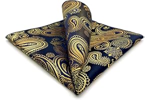 S&W SHLAX&WING Carré De Poche Paisley Traditionnel 32cm Costume Mariage Cérémonie Haut De Gamme