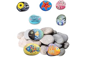MANQYI 10 Piezas Pintar Rocas Piedras, Piedras Creativas Pintadas a Mano, Piedras para Pintar de Roca, Decorativa Guijarros, Guijarros de Playa, para Manualidades, Macetas, Acuarios, Decoración de Jardín