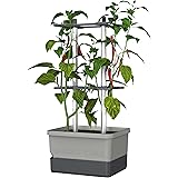 Charly Chili - Chilitopf - 4,5 L Wassertank mit Bewässerungssystem - stabile, Innovative Rankhilfe - 10 L Erdvolumen - für Ch