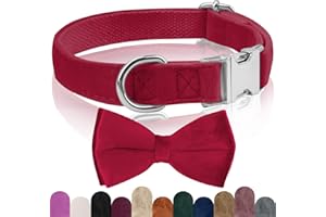 KTWSUEF Collare Cane, papillon cane Collare per Cani Velluto, Collare per Cani Comodo Resistente, Papillon per Cani Rimovibile Regolabile, Per Matrimoni, Compleanni, Eventi Festivi