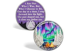 CHURYUML One Day at a Time 2 Year Sobriety Coin - Inspirational Two Year Chip, Non-Religious AA Coins Recovery Medallions Sober Affirmation Token Sobriety Gifts for Women Men Celebrating Sobriety
