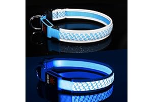 Leuchthalsband Hund Aufladbar DQGHQME Hundehalsband Leuchtend Reflektierendes LED Leucht Halsband für Hunde Wasserdicht Einstellbare Halsband für Klein Mittlere Große Hund für Sicherheit Nachts (Blau)