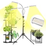 Shotory Pflanzenlampe LED 150W Pflanzenlicht Vollspektrum mit Einstellbar Ständer, Grow Light für Zimmerpflanzen, mit Zeitsch