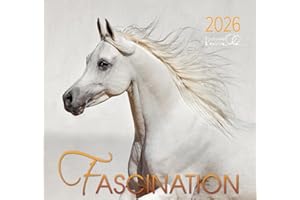 Fascination 2026: Arabische Pferde