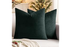 MIULEE Cuscini di Natale Arredo Divano Copricuscini Camera da Letto Federe Arredamento Casa Moderni Elegante Morbido Resistente in Velluto con la Cerniera Invisibile 2 Pezzi Army Green 40X40 CM