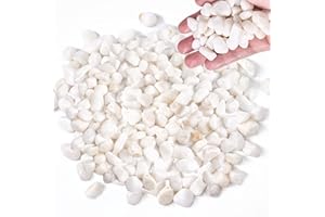 SEWOKON 0.95 KG Kieselsteine, 1.2-1.5cm Dekosteine Weiß, Steine Garten, Kieselsteine Garten, Polierte Dekosteine, Dekosteine Garten, Zierkies Weiß, Deko Steine Kleine, Kieselsteine Weiß, Weiße Steine Garten.