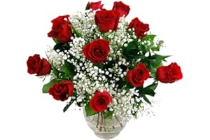 Clare Florist Luxury 12 Red Roses Fresh Flower Bouquet - Romantic Flowers for all Special Occasions