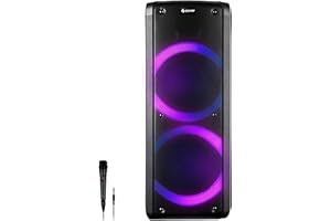 Altavoz Bluetooth Portátil Denver Electronics 6,5" Negro 300 W