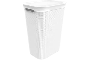 rotho. 1023501023 Collecteur de lavage 50l avec couvercle et 2 poignées, Plastique (PP) sans BPA, Gui Blanc, (43,1 x 34 x 52,9 cm)