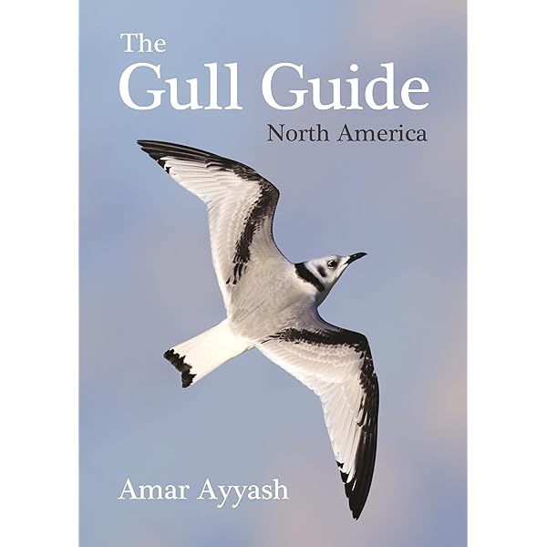 Buy Gulls of Europe, Asia and North America Book Online at Low