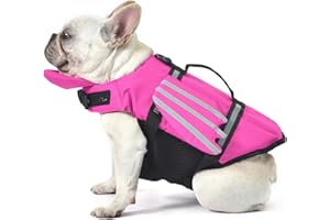 Petglad Dog Life Jacket, Wings Dog Life Vest with Chin Float Rescue Handle for Small Medium Large Dogs, Adjustable High Visibility Flotation Pet Safety Swim Vest for Swimming Boating (Pink, M)