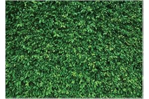LYWYGG 7x5FT Green Leaves Photography Backdrop Jungle Backdrop Clear Color Foldable Easy To Carry for Birthday Party Outdoor Activity Studio Props CP-87