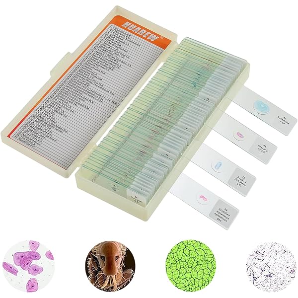 48 Vetrini Per Microscopio Bambini - Campioni Animali, Vegetali, Insetti, In Plastica Sicura, Con Disegni Esplicativi