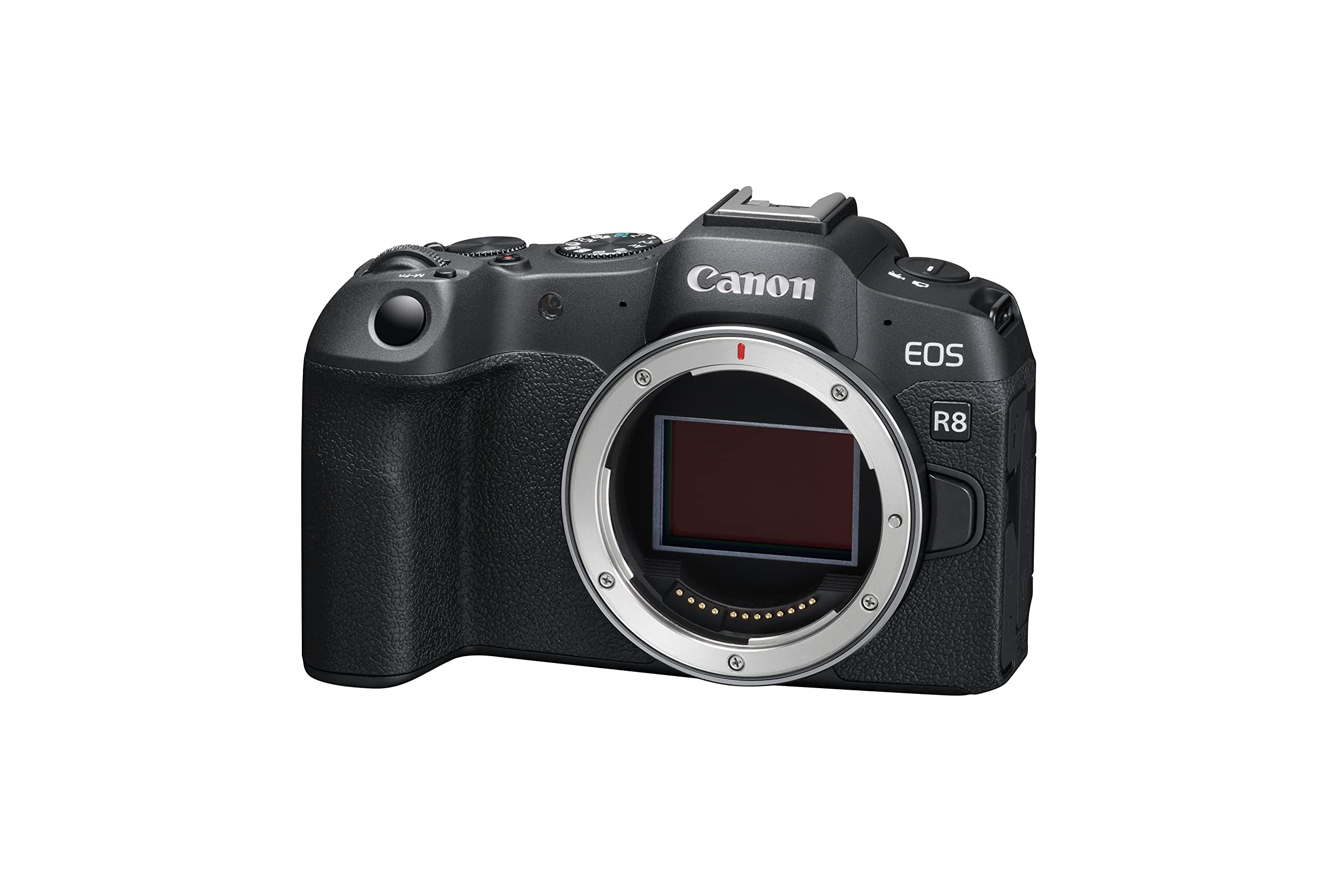 Canon EOS R8 Full-Frame Mirrorless Camera (Body Only) with 24.2 MP, 4K Video, DIGIC X Image Processor (Black)