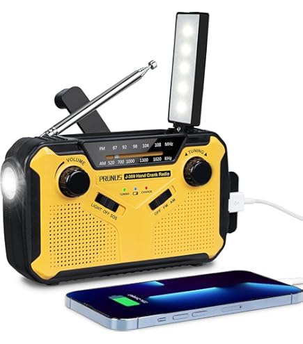 POWERplus Panther Radio FM Solaire Et Lampe Torche À