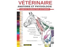 Vétérinaire Anatomie et Physiologie Cahier De Coloriage Pour Les Étudiants: Auto-évaluation facile et efficace, préparation aux tests et révisions ... médecine vétérinaire et en soins infirmiers