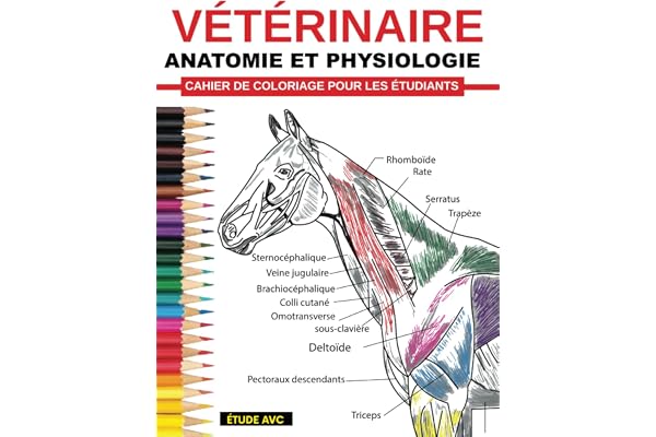 Vétérinaire Anatomie et Physiologie Cahier De Coloriage Pour Les Étudiants: Auto-évaluation facile et efficace, préparation aux tests et révisions ... médecine vétérinaire et en soins infirmiers