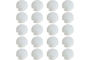 CWPFVQA 20 Piezas De Conchas Blancas, Materiales Artesanales DIY, Artesanías Temáticas del Océano, Conchas para Manualidades, Conchas Decorativas
