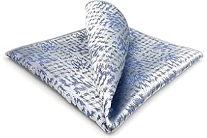S&W SHLAX&WING Pochettes de Costume Pour Hommes Argenté Bleu Ciel Motifs Mariage