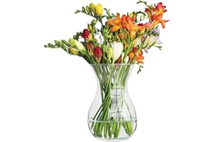 ‎TREND FOR HOME TREND FOR HOME Blumenvase Vase Glas Glasvase für Blumen Glasblumenvase Tischvase Dekovase Klarglasvase Deko-Vase aus Glas Wohnzimmer Deko Dekorative Vase | H. 18 cm | Poppy | 1229 ml