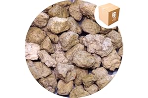 Specialist Aggregates ® - 8kg Horticultural Pumice Gravel | Green Roofs | Drainage | Moisture Retention | Lightweight Lava Stone