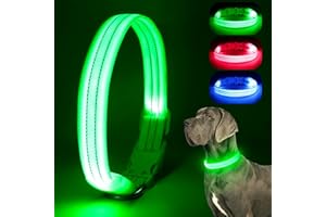 Chalklit Light Up LED Dog Collar, USB Rechargeable Waterproof Reflective Adjustable Flashing Dog Collar Lighted, Glowing in the Dark for Small Medium Large Dogs Night Safety Walking(Medium, Green)