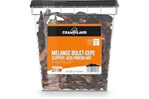 CHAMPILAND - Duo Bolet Cèpe Séchés - Champignons Sélectionnés - Triés à la Main dans le Sud-Ouest de la France - Saveur Exceptionnelle - Riche en Protéines et Source de Fibres - Pot de 500 g